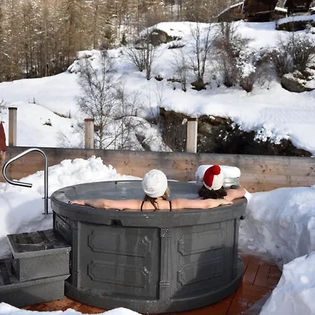 Les Melezes 3* Haudères