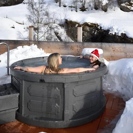 Les Melezes 3* Haudères