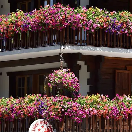 Hotell Les Melezes Haudères