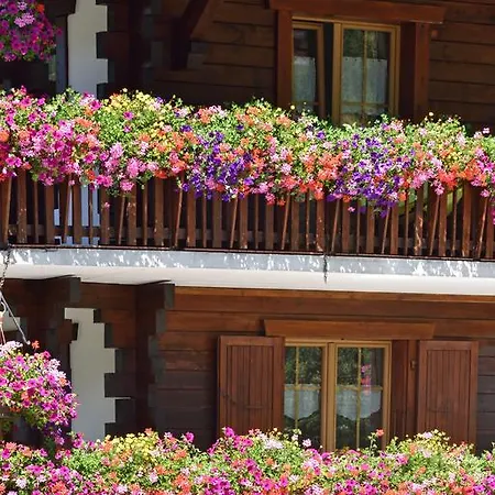 Les Melezes Hotel Haudères