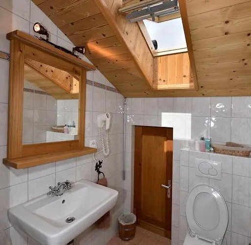 Hotel Les Melezes Hauderes