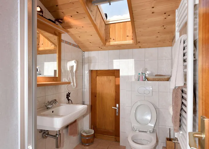 Hotel Les Melezes Hauderes