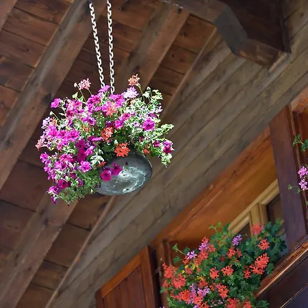 Les Melezes 3* Haudères