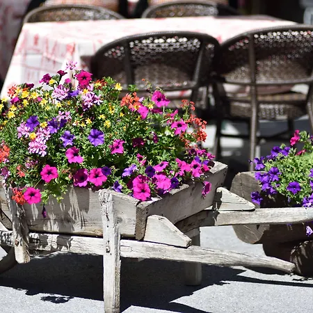 Les Melezes 3* Haudères